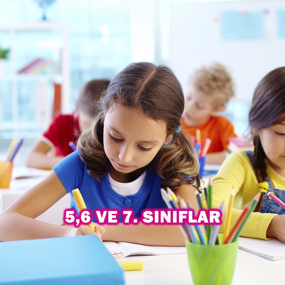 sınıf